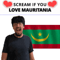 Mauritania Flag Mr Sticker