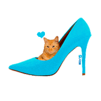 islencalcados cat gato gatos shoe Sticker