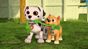Animation Dog GIF by Moonbug