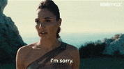 Im Sorry Wonder Woman GIF by HBO Max