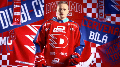 Tomas Vondracek GIF by HC Dynamo Pardubice