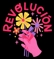 Mexico Flores GIF by Addy