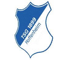 germany football Sticker by Bundesliga