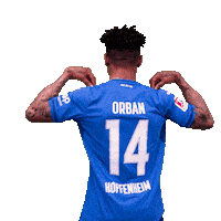 Sport Bundesliga Sticker by TSG Hoffenheim