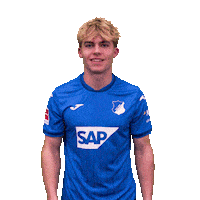 Sport Bundesliga Sticker by TSG Hoffenheim