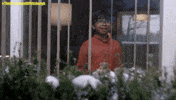 Comedy GIF by Amazon Prime Video