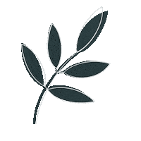 claramafra nature leaf boho hippie Sticker
