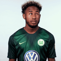 Football Soccer GIF by VfL Wolfsburg