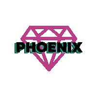 Phoenix Cheerleading Sticker by CA Flyers