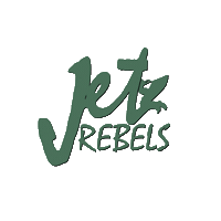 Jetski Aquabike Sticker by JetRebels
