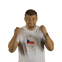 Czech Republic Sport Sticker by Český olympijský tým