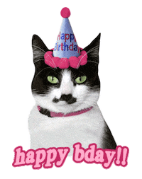 Happy Birthday Cat Sticker