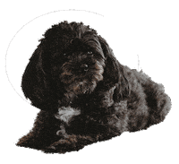 Design Boo Sticker by SWA