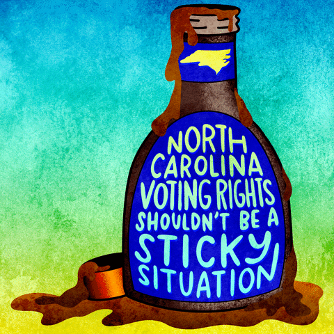 North Carolina Vote GIF by Creative Courage