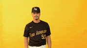 Cal State La Sport GIF by Cal State LA Golden Eagles