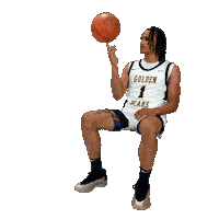 Brandon Moore Basketball Sticker by WVU Tech Golden Bears