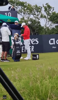 Spectator Steals Golf Club from Rory McIlroy