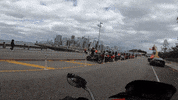 Motorcycles GIF by Gotham Ducati Desmo Owners Club