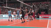 Japan Celebrate GIF by Volleyball World