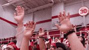 Letsgopeay Governors GIF by Austin Peay Athletics