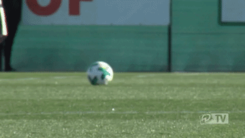 werder werderbremen GIF