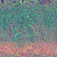 glitch art GIF by LetsGlitchIt