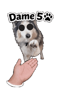 Mano Dame5 Sticker