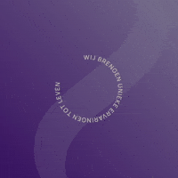 Designer Experience GIF by studio HB Staging