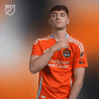 Houston Dynamo Mask GIF by Major League Soccer