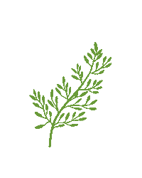 Fall Rama Sticker