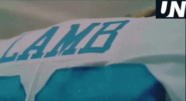 Dallas Cowboys GIF by The Undroppables
