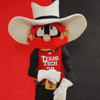 Texas Tech Wreck Em GIF by Texas Tech Basketball