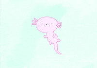 Axolotl GIF by CsaK