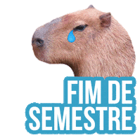 ufmsoficial ms universidade mascote federal Sticker