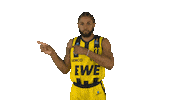 Ewe Baskets Basketball Sticker by EWE Baskets Oldenburg