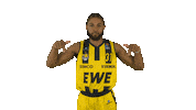 Ewe Baskets Basketball Sticker by EWE Baskets Oldenburg