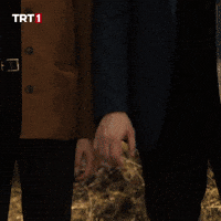 Tolga Saritas Love GIF by TRT