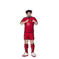 World Cup Football Sticker by SportsManias