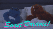Sweet Dreams Sleep GIF by Fluffy Friends