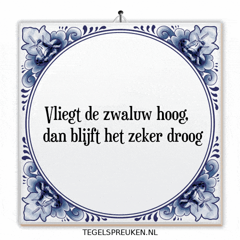 Humor Nl GIF by Tegelspreuken.nl