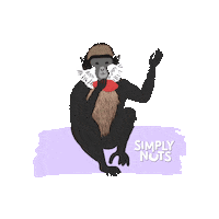 Vegan Cashew Sticker by Simplynuts