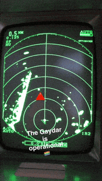 gaydar exist GIF