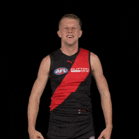 Afl Footy GIF by Essendon FC