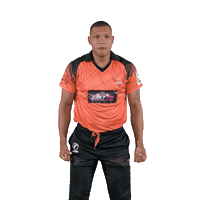 Celebrating Port Elizabeth Sticker by Sunrisers Eastern Cape
