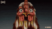 On Fire Burn GIF by Adult Swim
