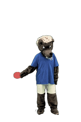 Ping Pong Sport Sticker by SuS Stadtlohn 19/20