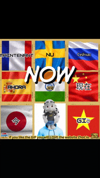 Translate Right Now GIF by Zhotcita