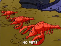 nickrewind nicksplat aaahh real monsters GIF