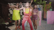 Rhododendron GIF by Hurray For The Riff Raff