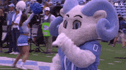 North Carolina Cheer GIF by UNC Tar Heels